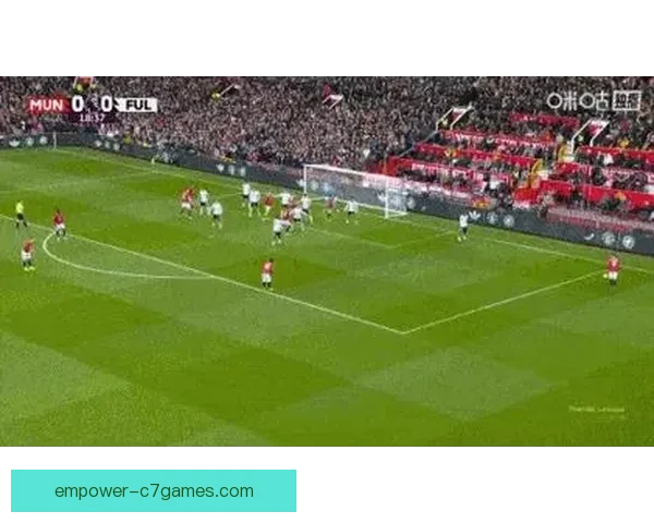 富勒姆足球俱乐部最新动态分析球队表现与未来发展规划